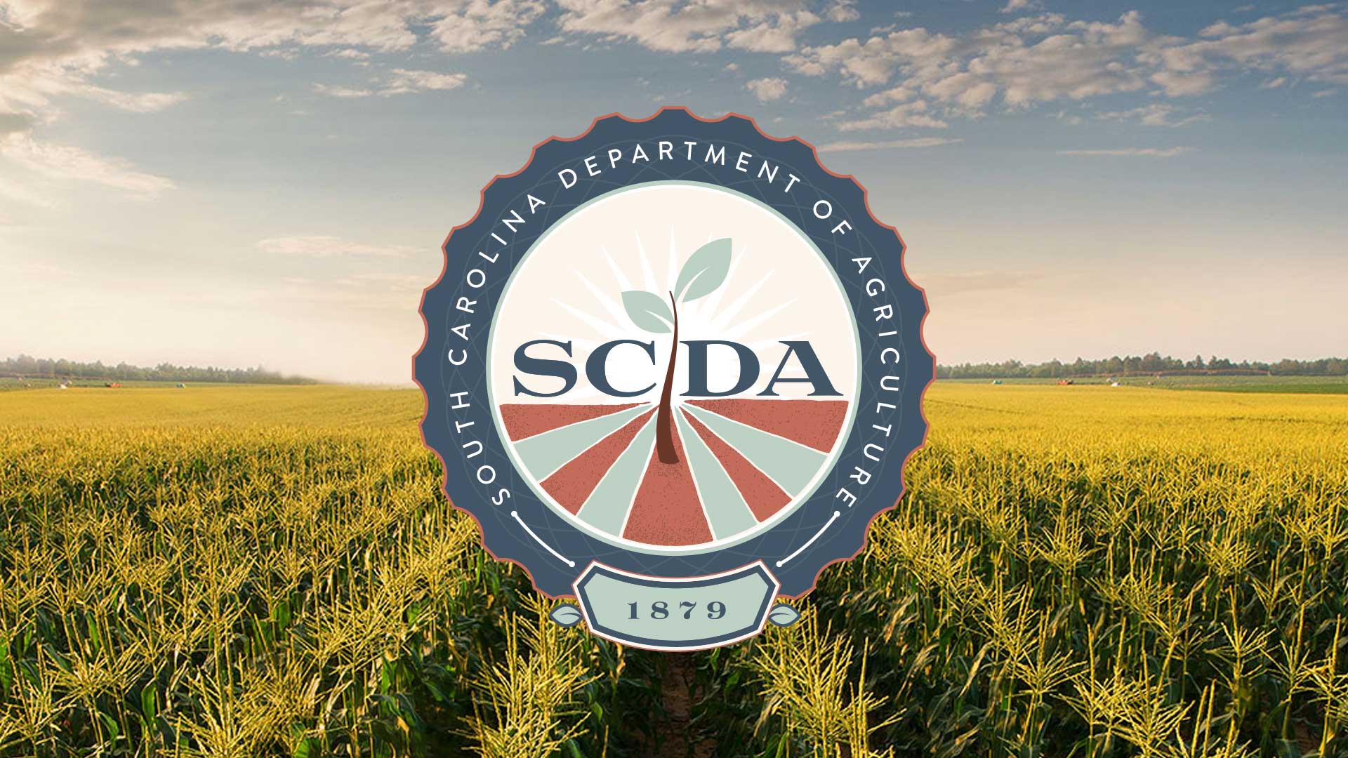 A vibrant agricultural landscape featuring tall corn plants with yellow tassels under a cloudy sky, overlaid with the logo of the South Carolina Department of Agriculture (SCDA).