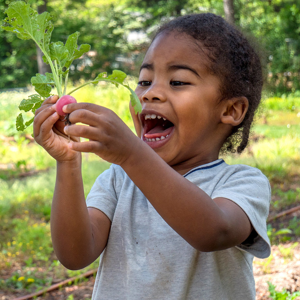 A joyful child holds up a freshly harvested radish, with bright green leaves, in a garden setting, expressing delight with a wide smile.