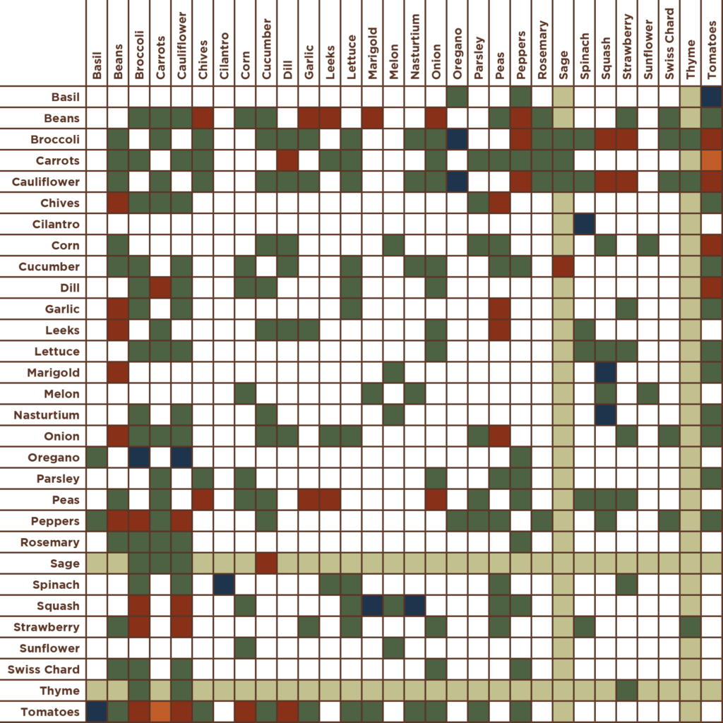 A grid chart showing a plant compatibility matrix, listing various herbs and vegetables along the top and side, with colored squares indicating compatibility relationships between them.