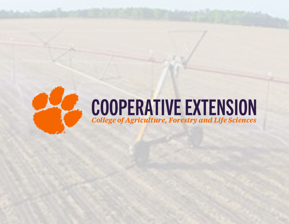 Logo of Cooperative Extension featuring an orange paw print and text stating 'COOPERATIVE EXTENSION' with a subtitle 'College of Agriculture, Forestry and Life Sciences'; background shows an agricultural field with irrigation equipment.